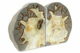 Crystal Filled Septarian Geode Bookends - Utah #231077-2